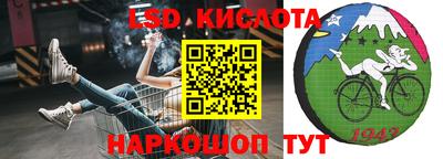 хмурый Кингисепп