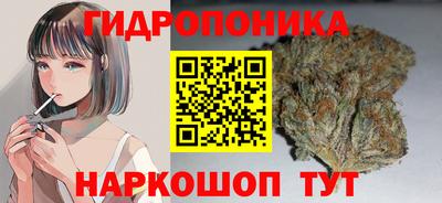 соль ск Кинель