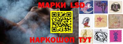 хмурый Кингисепп