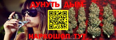 хмурый Кингисепп