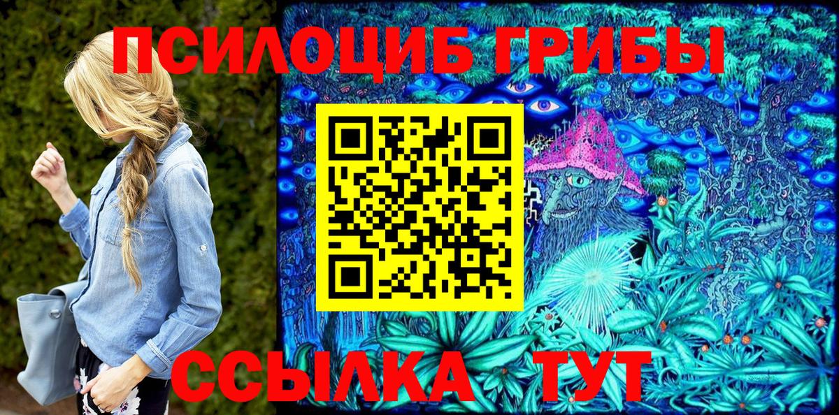 дарнет шоп  Вход с VPN  Кизилюрт  Псилоцибиновые грибы мухоморы 